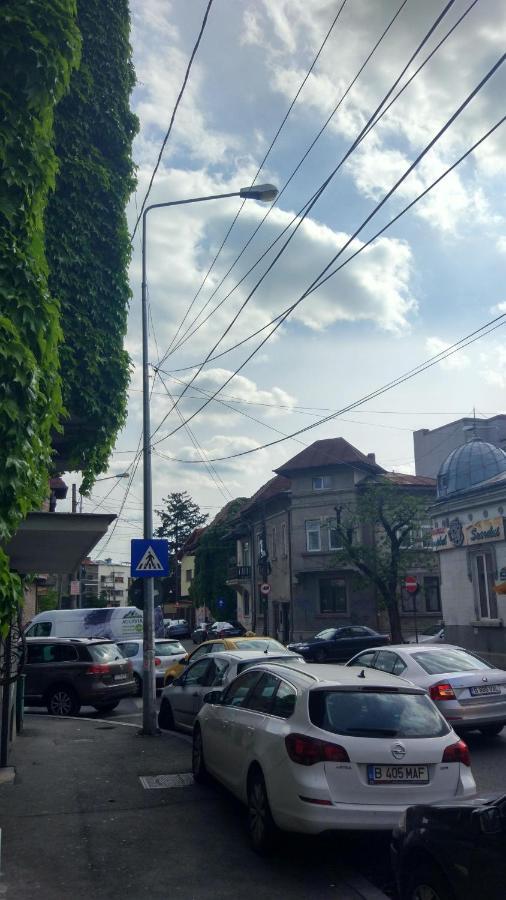 Central Green House Bukares Bagian luar foto