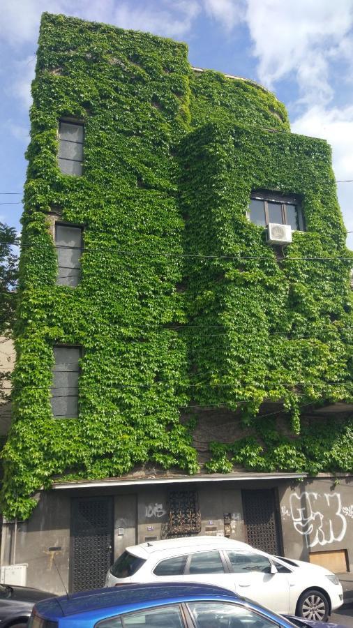 Central Green House Bukares Bagian luar foto